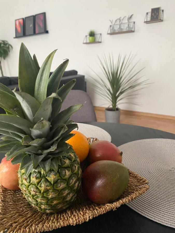 Apartament Penthouse West S Varaždin Zewnętrze zdjęcie